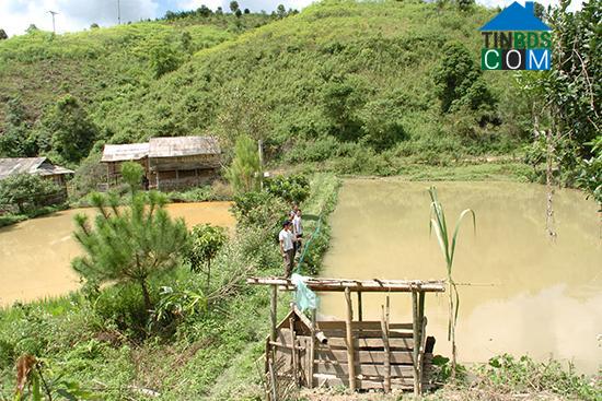 Hình ảnh Vân Hồ, Sơn La