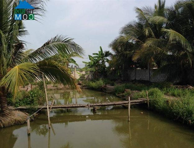 Hình ảnh Nhựt Tảo, Tây Ninh