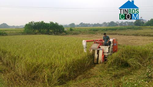 Hình ảnh Định Hóa, Thái Nguyên