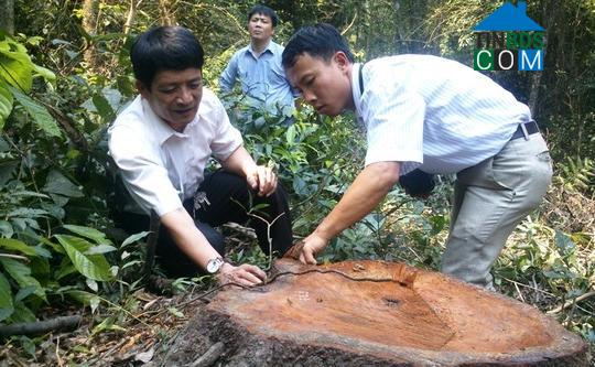 Hình ảnh Tống Sơn, Thanh Hóa