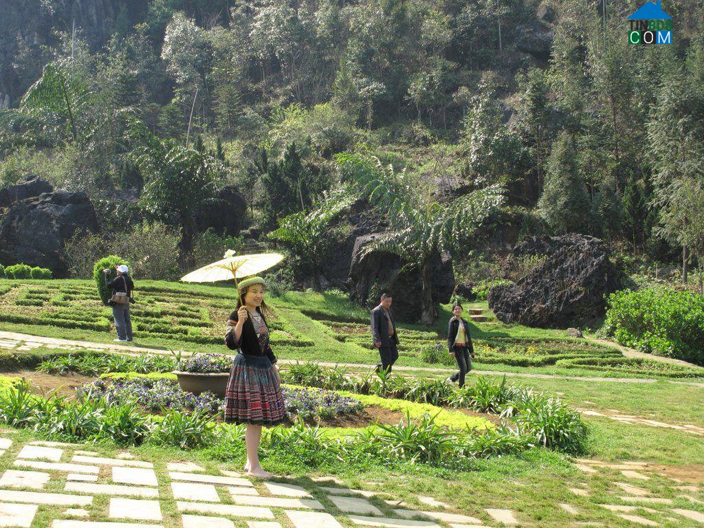 Hình ảnh Xuân Dương, Thái Nguyên