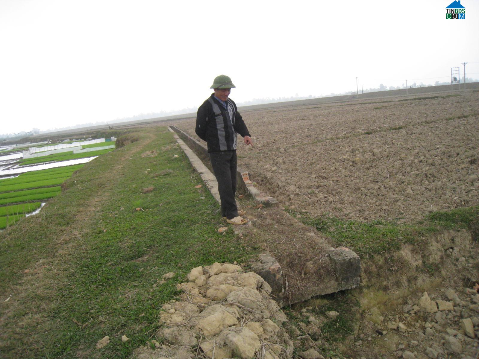 Hình ảnh An Nông, Thanh Hóa