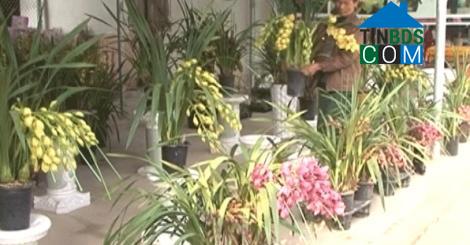 Hình ảnh Đông Quang, Thanh Hóa