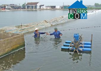 Hình ảnh Trường Văn, Thanh Hóa