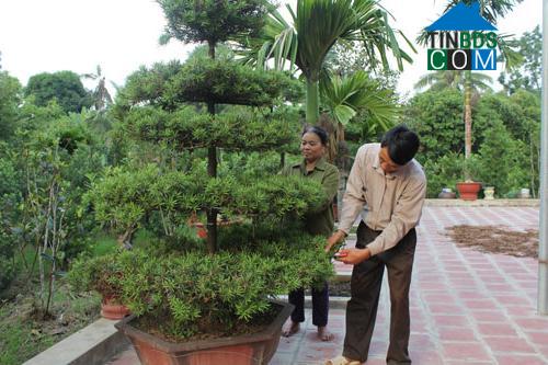 Hình ảnh Hậu Lộc, Thanh Hóa