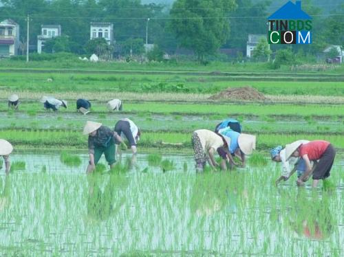 Hình ảnh Hoằng Sơn, Thanh Hóa