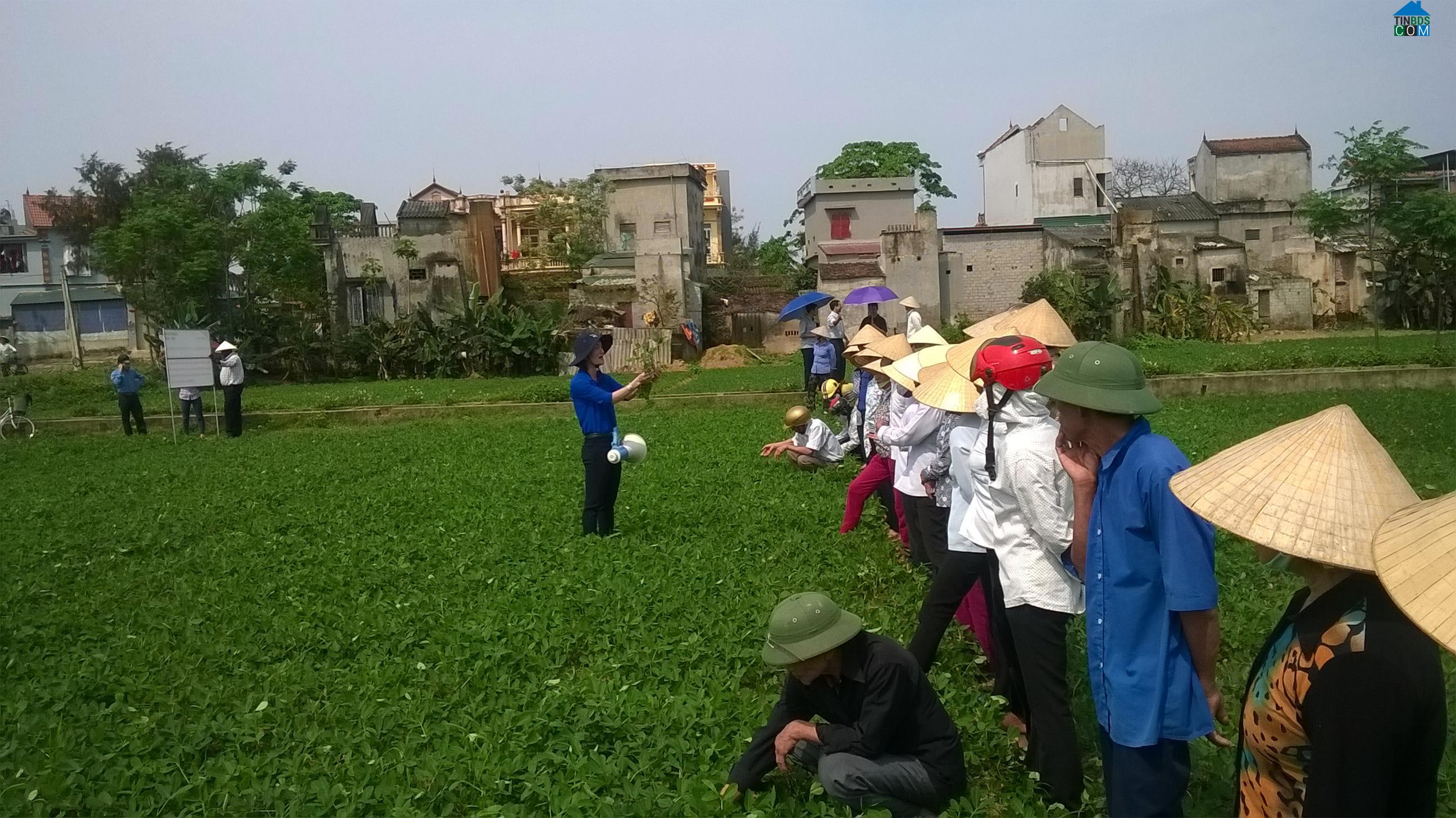 Hình ảnh Hoằng Thanh, Thanh Hóa