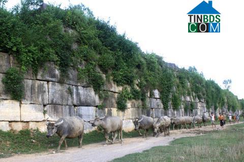 Hình ảnh Tây Đô, Thanh Hóa