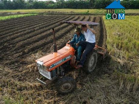 Hình ảnh Nga Thắng, Thanh Hóa