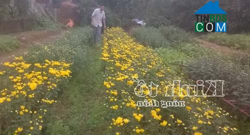 Hình ảnh Nông Cống, Thanh Hóa