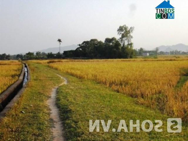 Hình ảnh Quảng Yên, Thanh Hóa