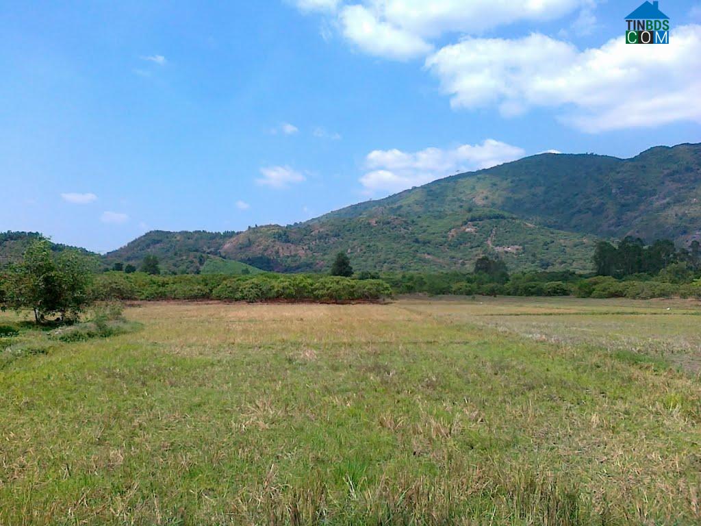 Hình ảnh Xuân Hòa, Thanh Hóa