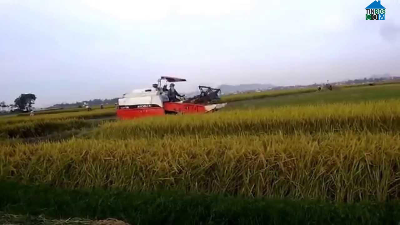 Hình ảnh Thiệu Trung, Thanh Hóa