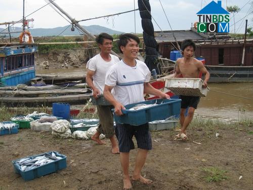 Hình ảnh Hoa Lộc, Thanh Hóa