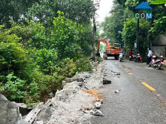 Hình ảnh Thọ Phú, Thanh Hóa