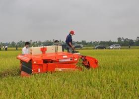 Hình ảnh Định Tân, Thanh Hóa