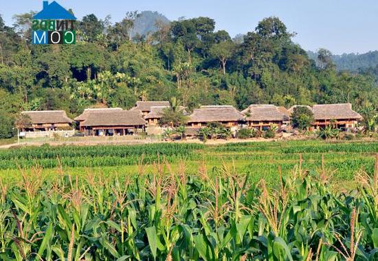 Hình ảnh Tân Trào, Tuyên Quang