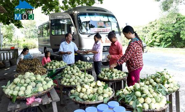 Hình ảnh Thái Bình, Tuyên Quang