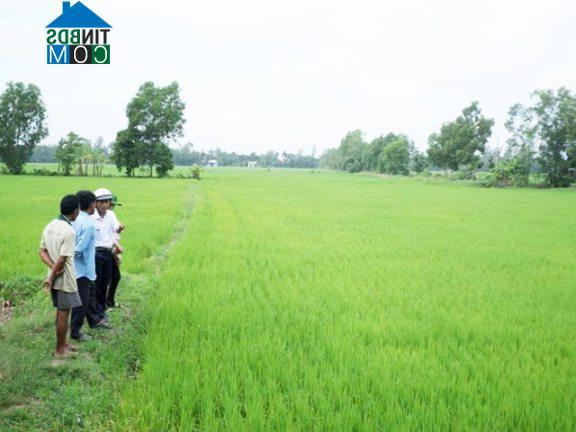 Hình ảnh Châu Thành, Vĩnh Long