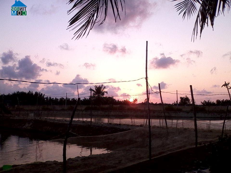 Hình ảnh Ba Tri, Vĩnh Long