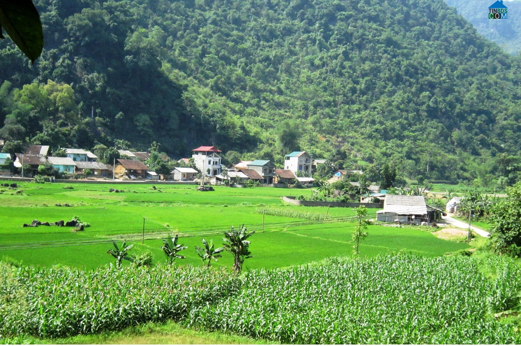 Hình ảnh Trường Hà, Cao Bằng