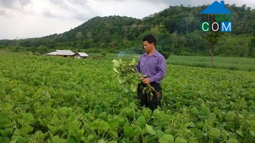 Hình ảnh Ea Knốp, Đắk Lắk