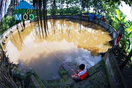 Hình ảnh Yên Lãng, Hà Nội