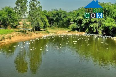 Hình ảnh Điện Bàn Đông, Đà Nẵng