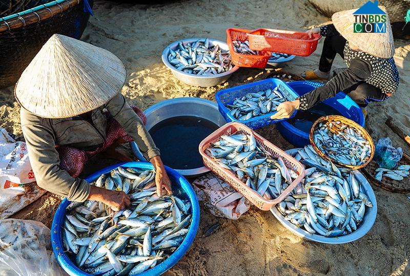 Hình ảnh Thăng An, Đà Nẵng