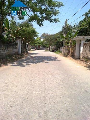 Hình ảnh Cát Hải, Hải Phòng