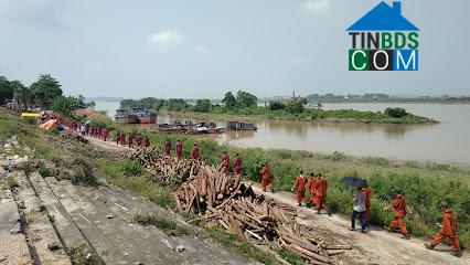 Hình ảnh Tân Kỳ, Hải Phòng