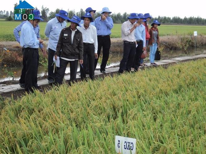 Hình ảnh Vĩnh Thông, An Giang