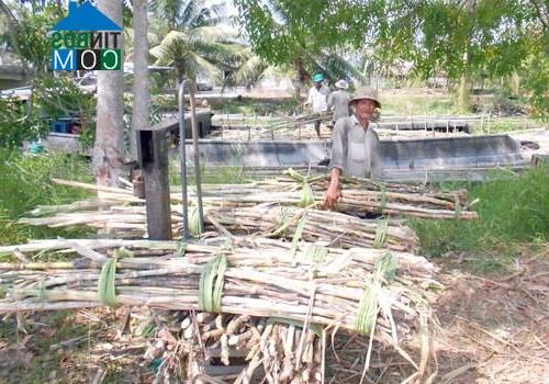 Hình ảnh Vĩnh Hòa, An Giang