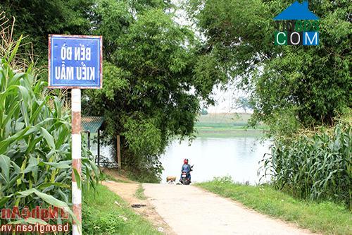 Hình ảnh Thuần Trung, Nghệ An