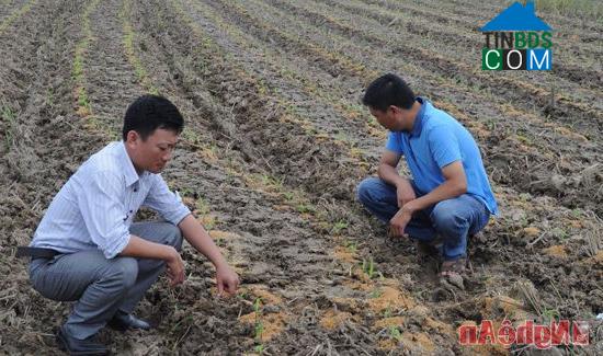 Hình ảnh Tân Châu, Nghệ An