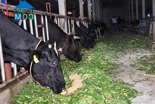 Hình ảnh Hà Nam, Ninh Bình