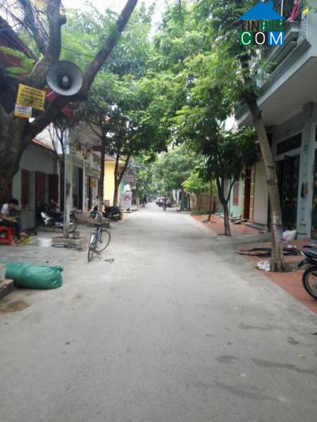 Hình ảnh Hoa Lư, Ninh Bình