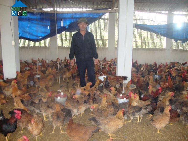 Hình ảnh Tam Dương, Phú Thọ