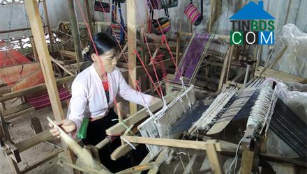 Hình ảnh Tân Lạc, Phú Thọ