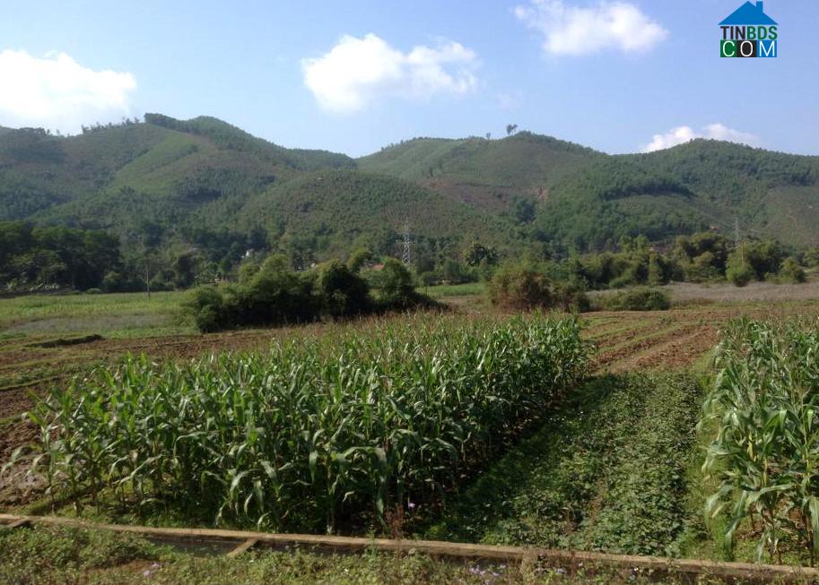 Hình ảnh Thanh Sơn, Phú Thọ