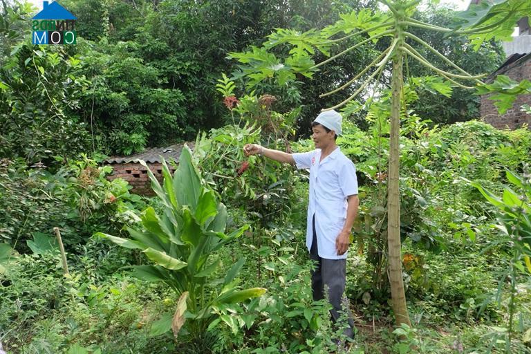 Hình ảnh Phúc Yên, Phú Thọ