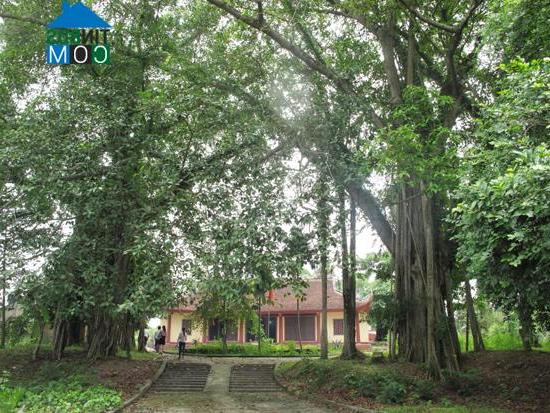 Hình ảnh Xuân Hòa, Phú Thọ