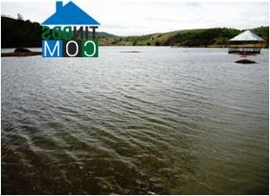 Hình ảnh Đăk Cấm, Quảng Ngãi