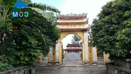 Hình ảnh Đoàn Đào, Hưng Yên