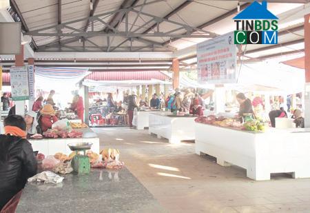 Hình ảnh Đông Thái Ninh, Hưng Yên