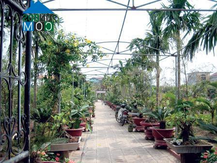 Hình ảnh Phụng Công, Hưng Yên