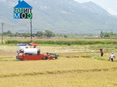 Hình ảnh Bắc Ninh Hòa, Khánh Hòa