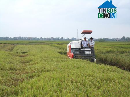 Hình ảnh Tiền Hải, Hưng Yên