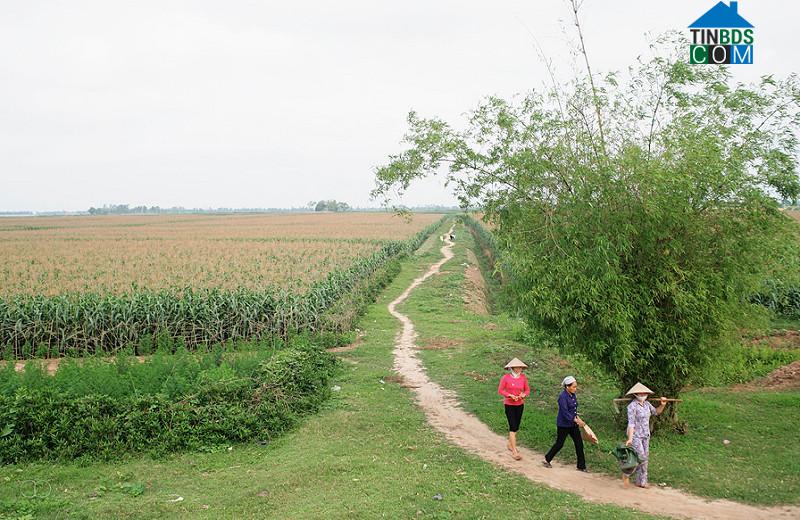 Hình ảnh Vạn Xuân, Hưng Yên