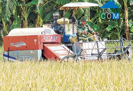 Hình ảnh Vũ Phúc, Hưng Yên